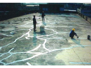 珠海外墻清洗、屋面整體防水補漏及管道疏通綜合服務解析